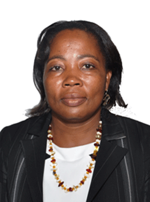 Chefe de Departamento de Redacção e Apoio Audio Visual