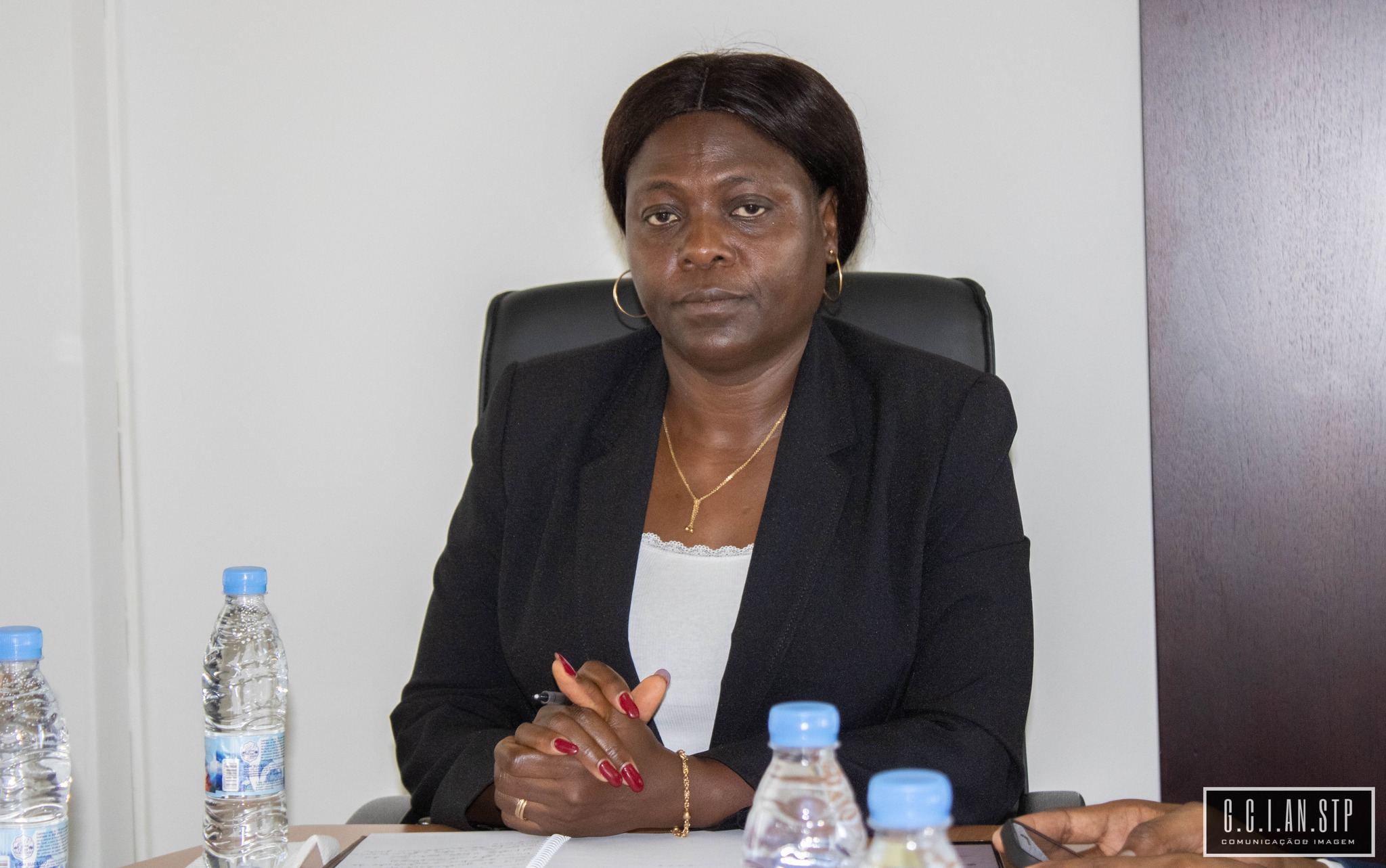 OS DEPUTADOS ESTARÃO REUNIDOS EM PLENÁRIA NOS DIAS 3, 14 e 15 DE NOVEMBRO.