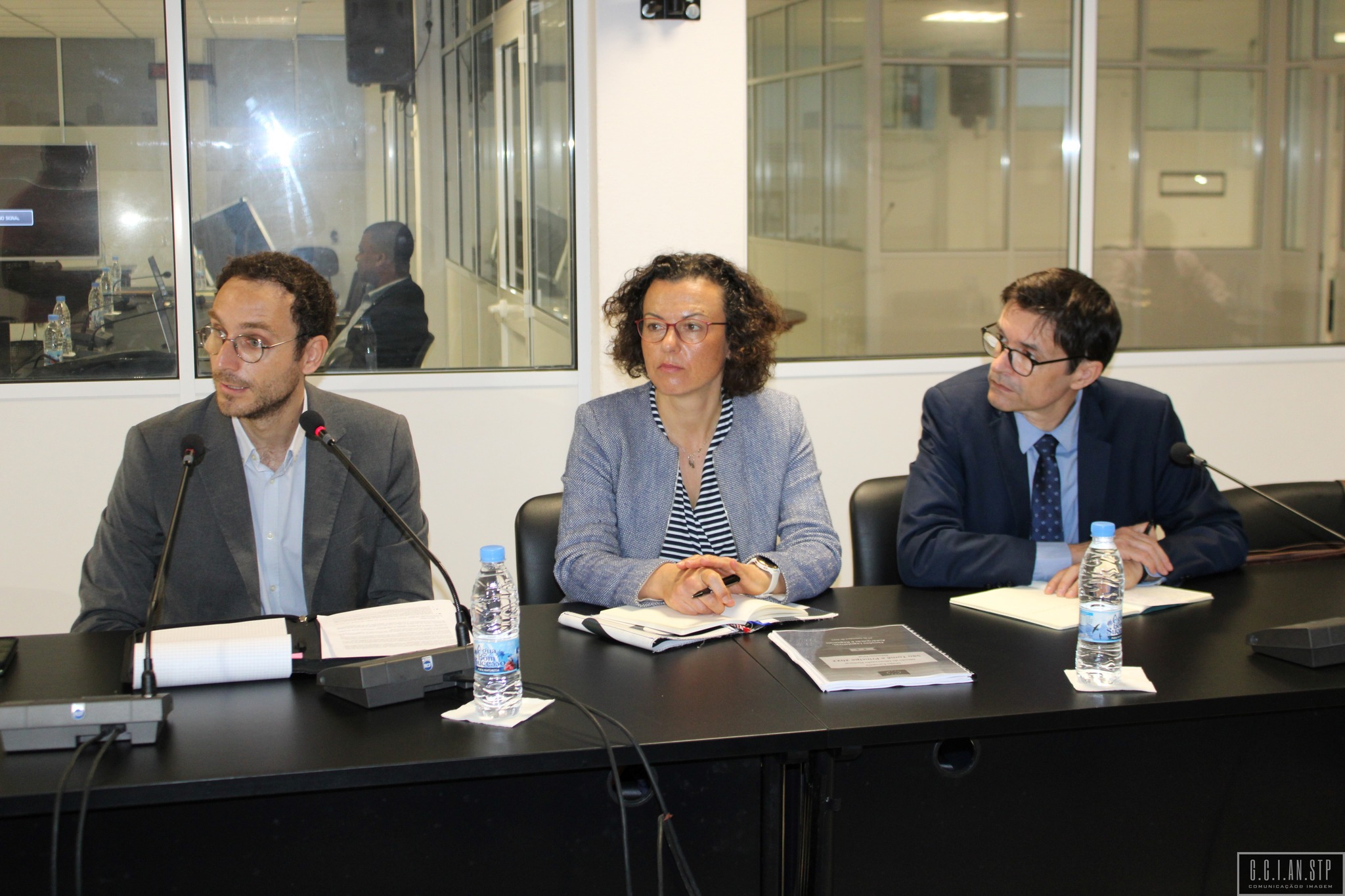 PERITOS ELEITORAIS DA UNIÃO EUROPEIA AUSCULTADOS PELOS DEPUTADOS DA PRIMEIRA COMISSÃO ESPECIALIZADA PERMANENTE.