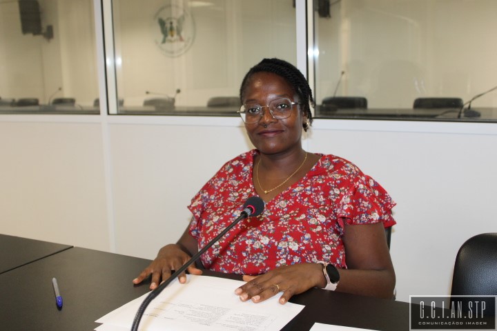 REDE DAS MULHERES PARLAMENTARES APROVAM O PLANO DE ACTIVIDADES.