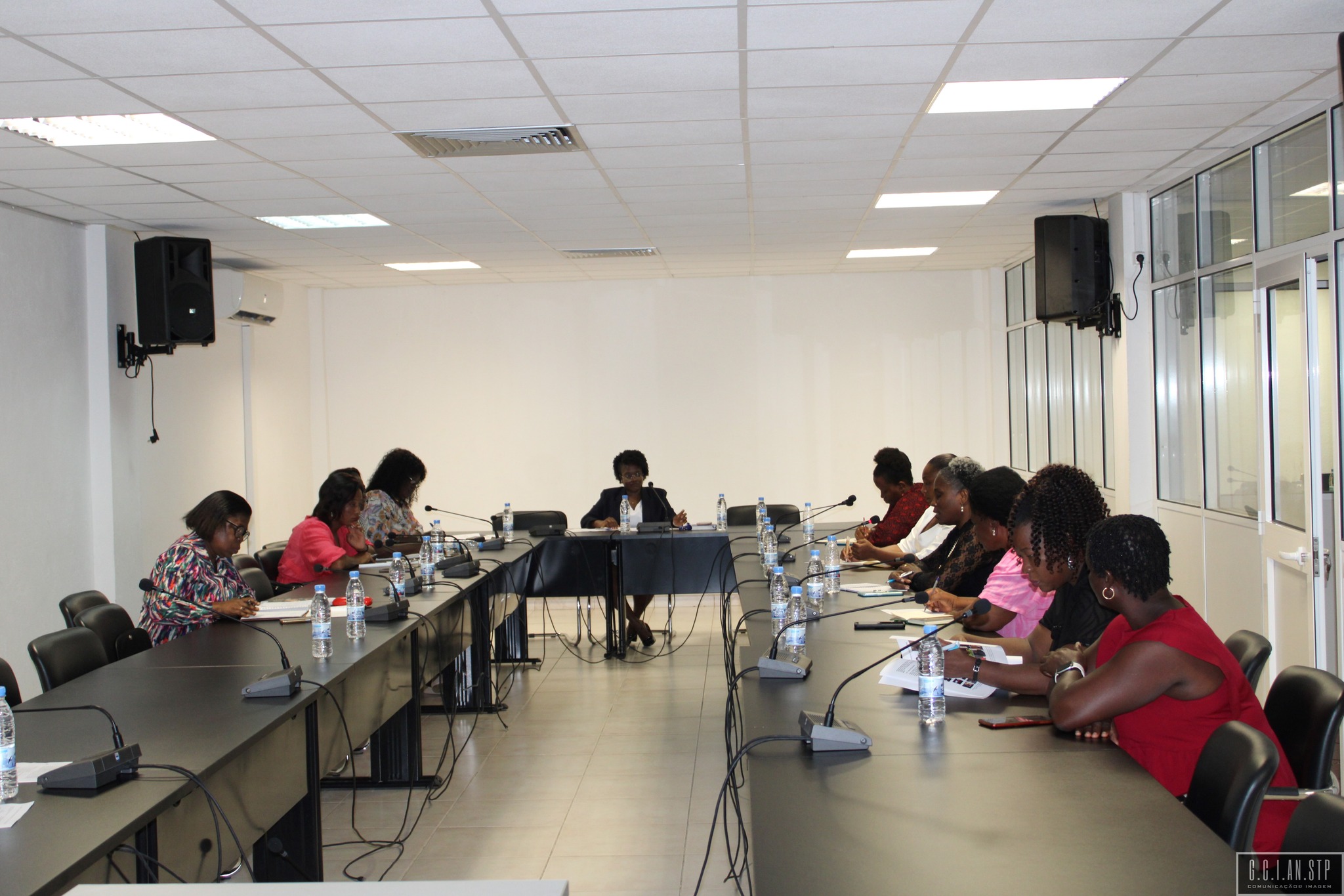 REDE DAS MULHERES PARLAMENTARES REUNIDA NO ÂMBITO DA COMISSÃO DE SEGUIMENTO DA IMPLEMENTAÇÃO DA LEI DE PARIDADE.