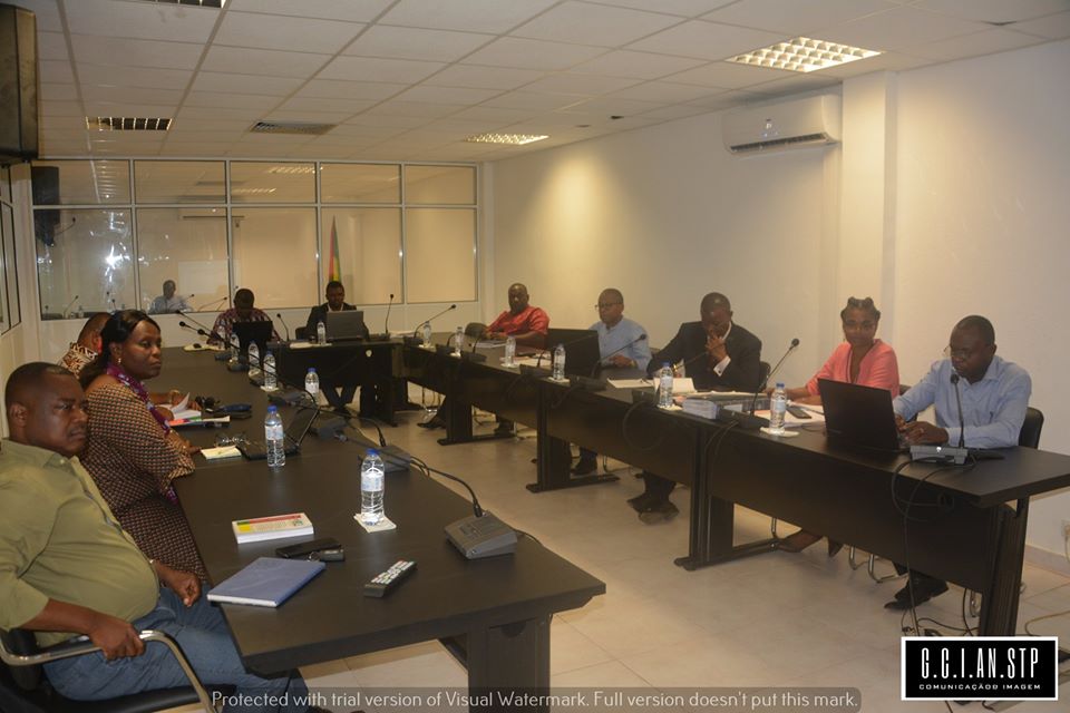 PRIMEIRA COMISSÃO DA ASSEMBLEIA NACIONAL APROVA PARECERES SOBRE NOVAS PROPOSTAS DE LEIS