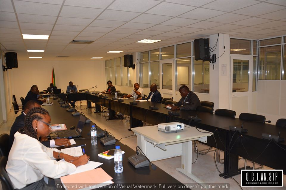 PRIMEIRA COMISSÃO ESPECIALIZADA PERMANENTE DA ASSEMBLEIA NACIONAL REUNIU-SE EM PRIMEIRA SESSÃO DO ANO 2020