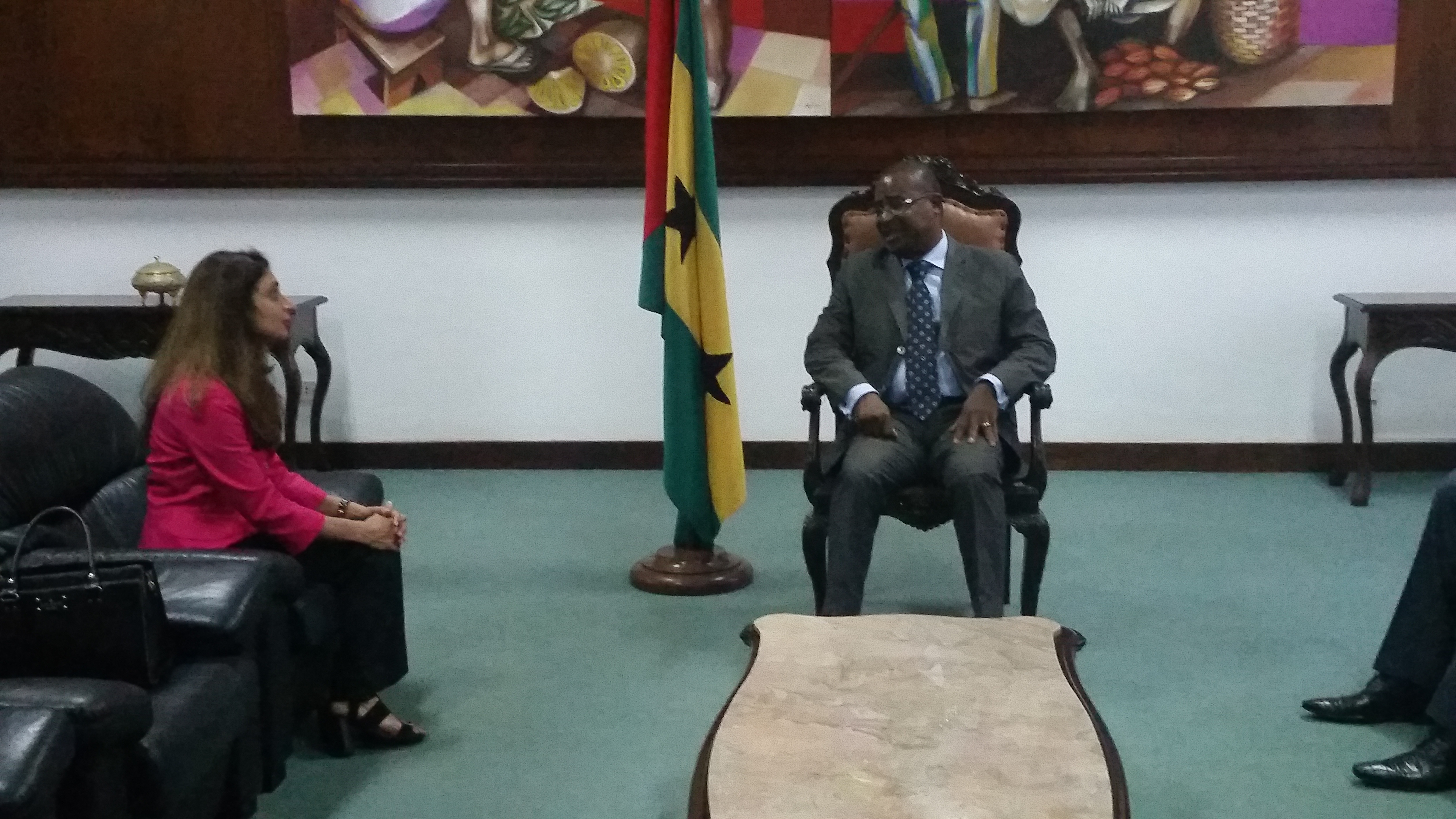 Audiência com a Representante do PNUD