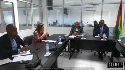 Consultora Elizabete Azevedo Harman Recebida em Audiência de Cortesia pelo Presidente da Assembleia Nacional,Delfim Santiago das Neves 